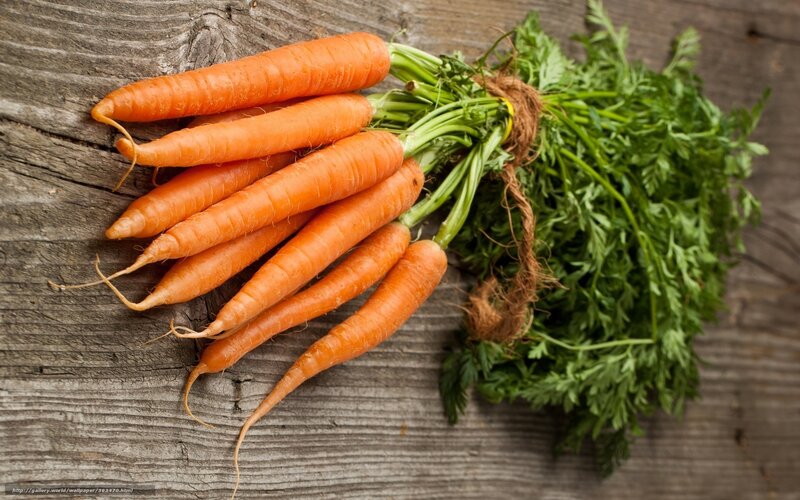 Bunch of Fresh Carrots