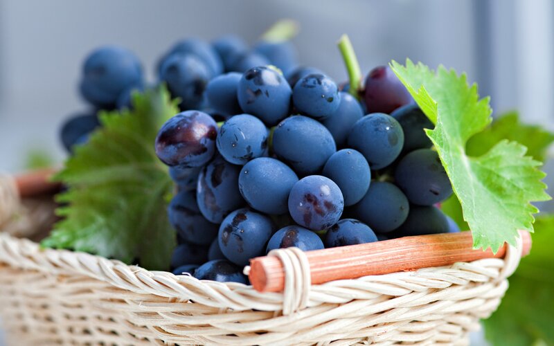 Bunch of Grapes in Basket
