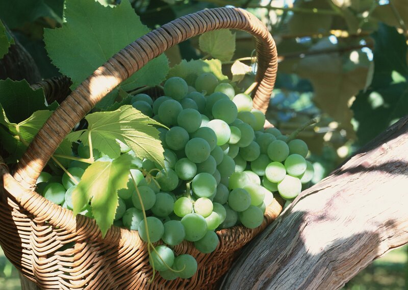 Bunch of green grapes in a basket