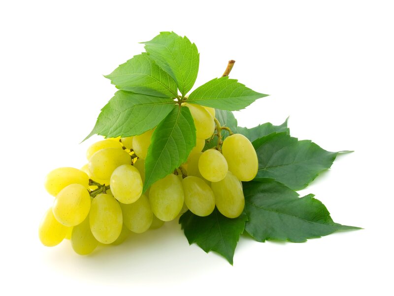 Bunch of Green Grapes