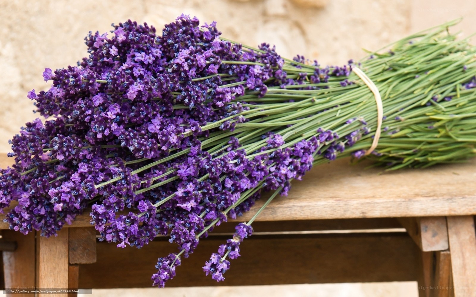 bunch of lavender flowers
