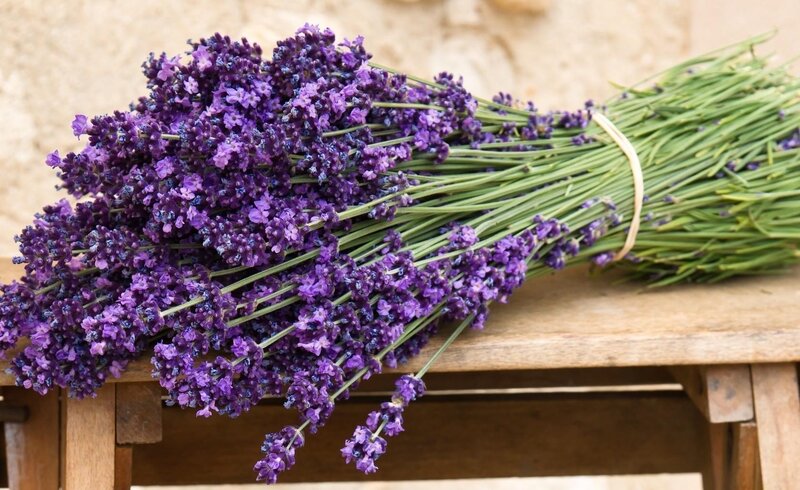 Bunch of Lavender Flowers — Purple, Calm, Afternoon, Photograph, Wooden Table, Green Stems