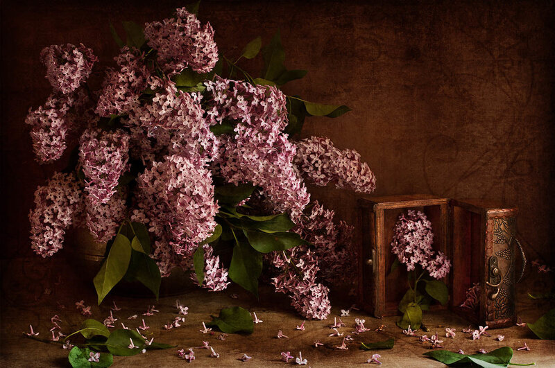 Bunch of Lilac Flowers — Purple