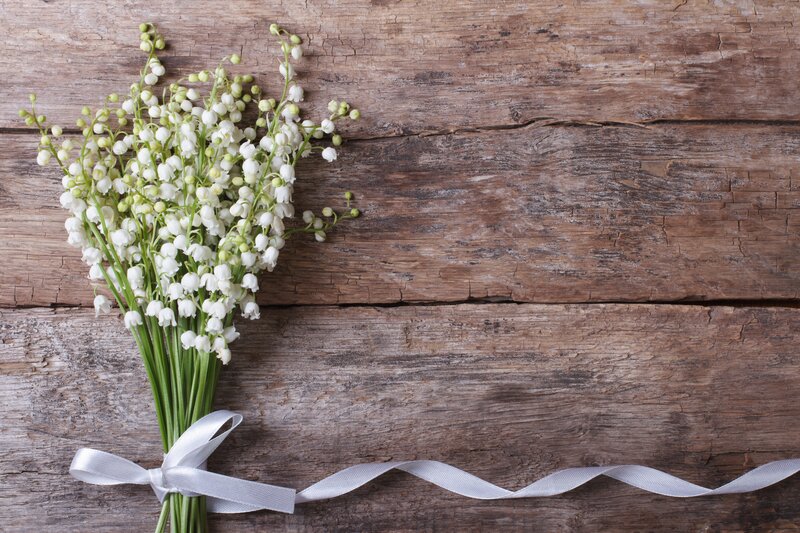 Bunch of Lily-of-the-valley — Brown