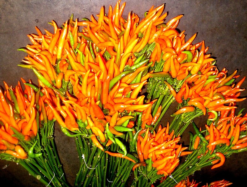 Bunch of Orange Chili Peppers