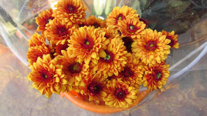 Bunch of Orange Chrysanthemums — Yellow