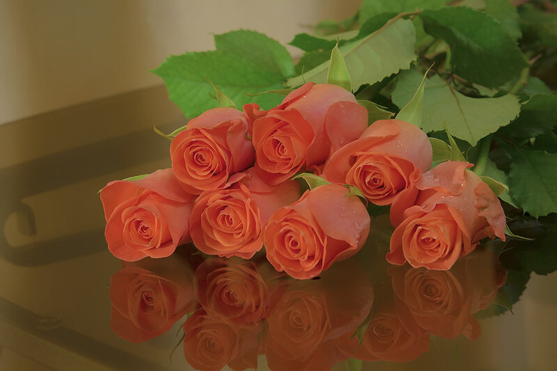 Bunch of Orange Roses — Calm, Photograph, Leaves