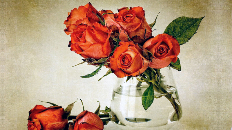 Bunch of Orange Roses — Calm, Photograph, Vase