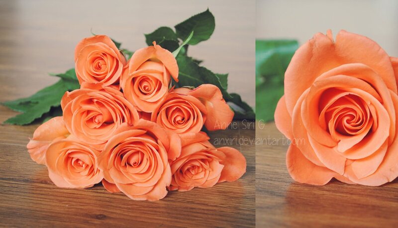 Bunch of Orange Roses — Calm, Photograph, Wooden Surface