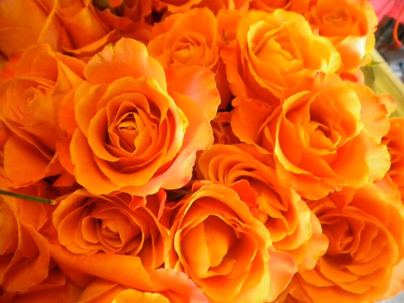 Bunch of Orange Roses — Vibrant