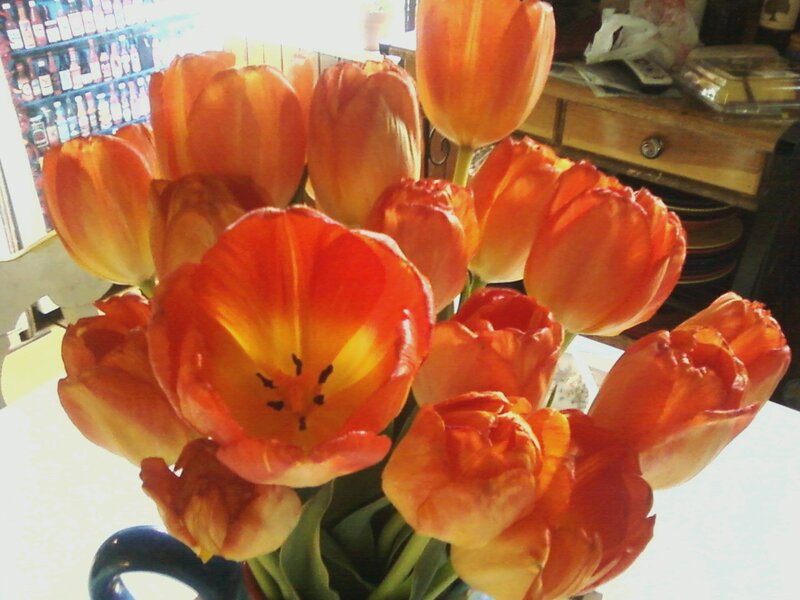 Bunch of Orange Tulips — Bright