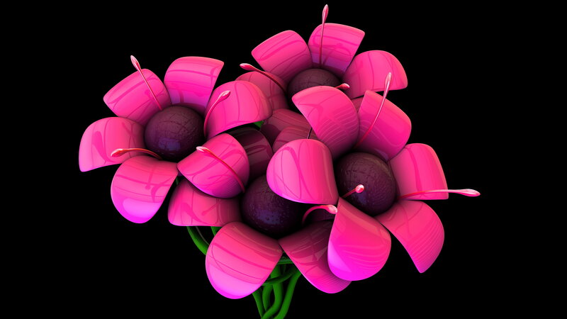 Bunch of Pink Flowers — Vibrant