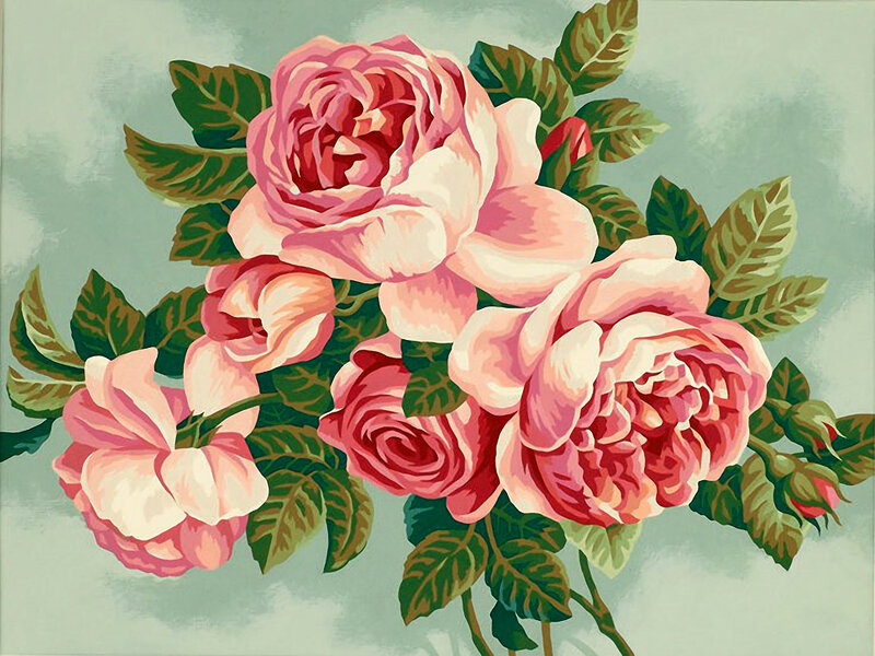 Bunch of Pink Roses — Calm, Illustration