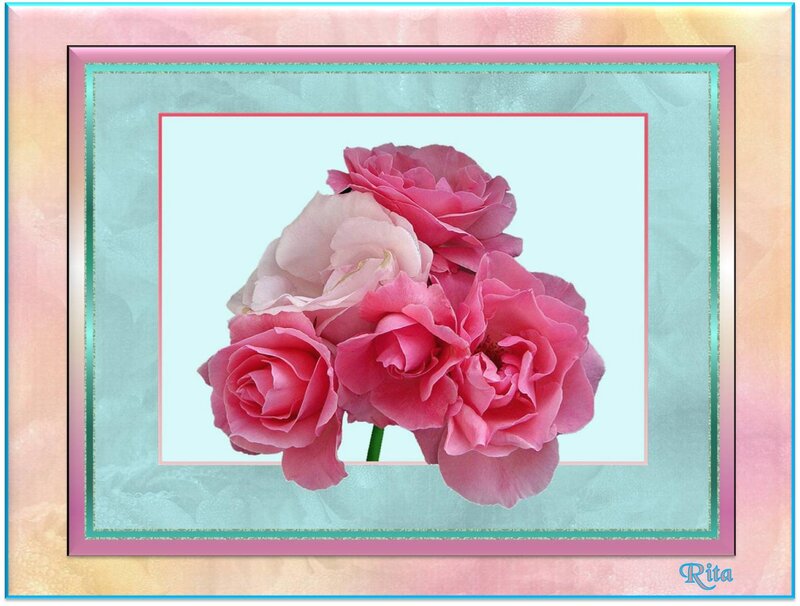Bunch of Pink Roses — Calm, Photograph, Flowers, Frame