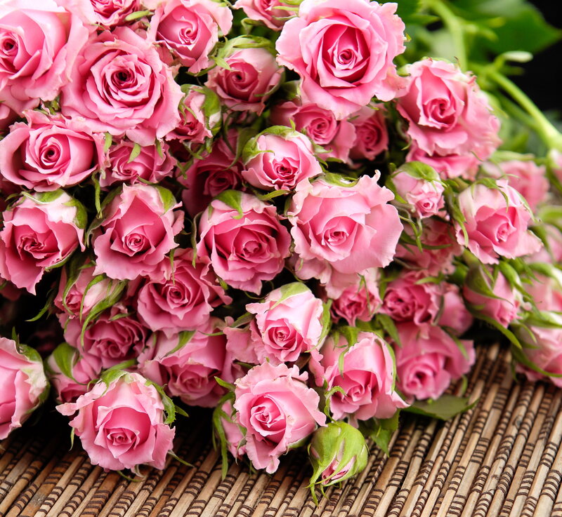 Bunch of Pink Roses — Calm, Photograph, Green Leaves, Bamboo Mat
