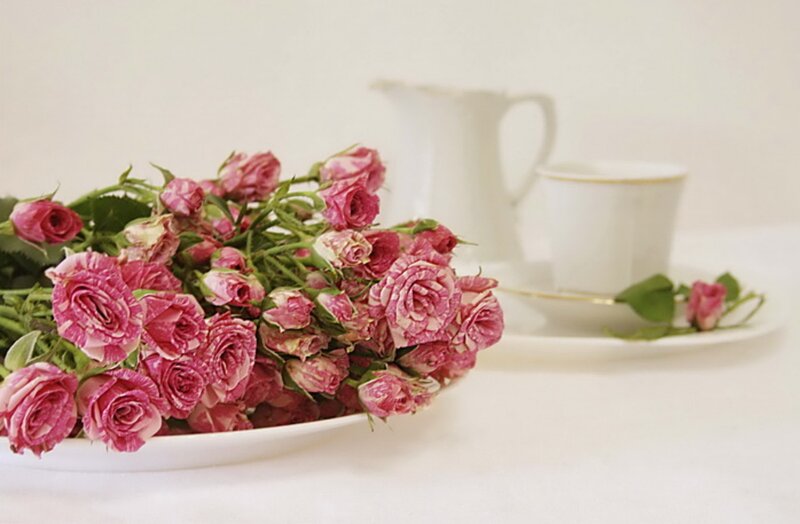 Bunch of Pink Roses — Calm, Photograph, Teacup