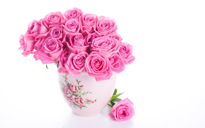Bunch of Pink Roses — Calm, Photograph, Vase