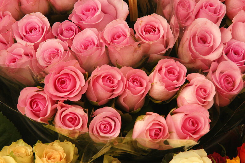Bunch of Pink Roses — Calm, Photograph, Yellow Flowers
