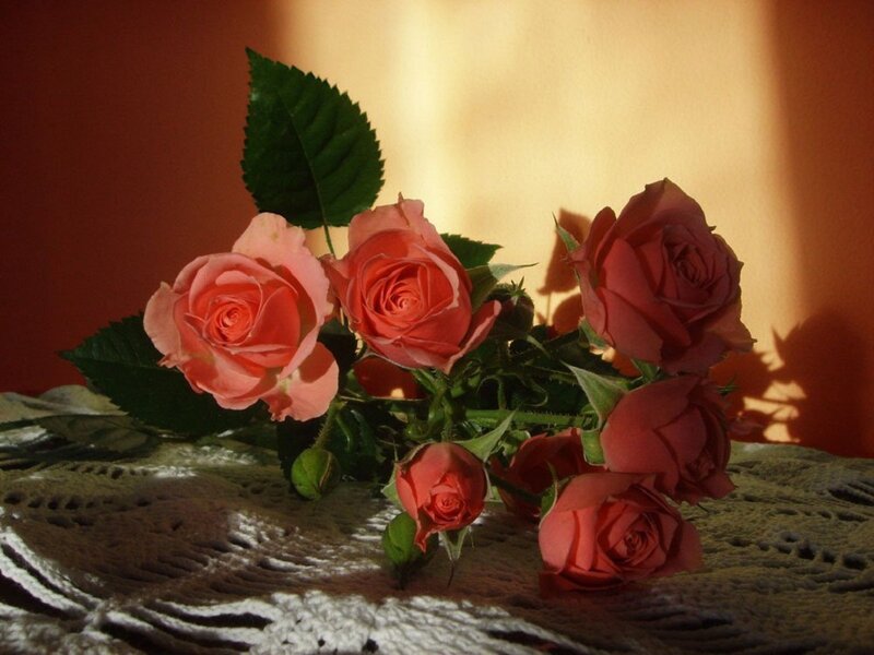 Bunch of Pink Roses — Dramatic, Photograph, Leaves