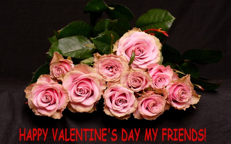 Bunch of Pink Roses — Romantic
