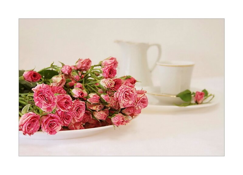 Bunch of Pink Roses — Serene, Photograph, Teacup