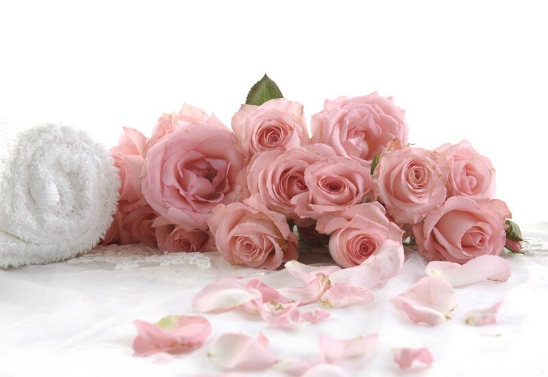 Bunch of Pink Roses — Serene, Photograph, Towel