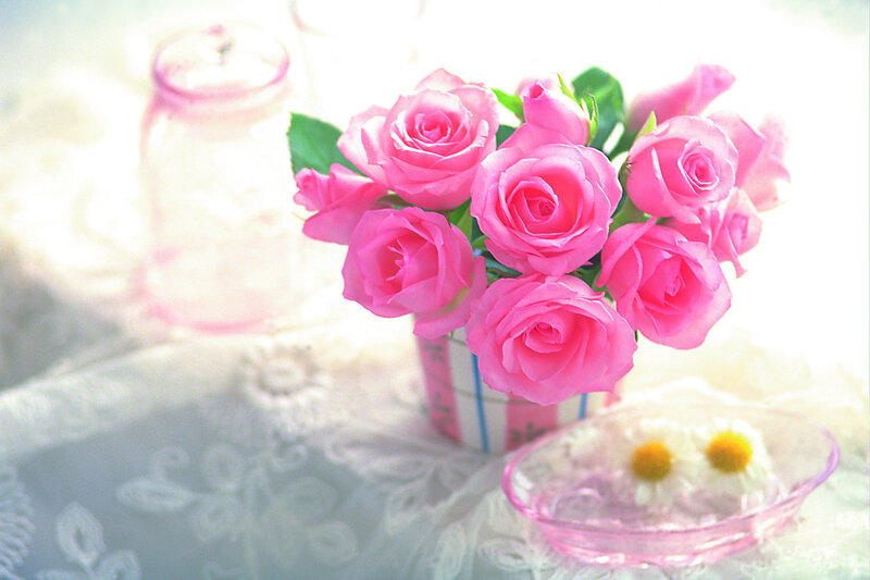 Bunch of Pink Roses — Serene