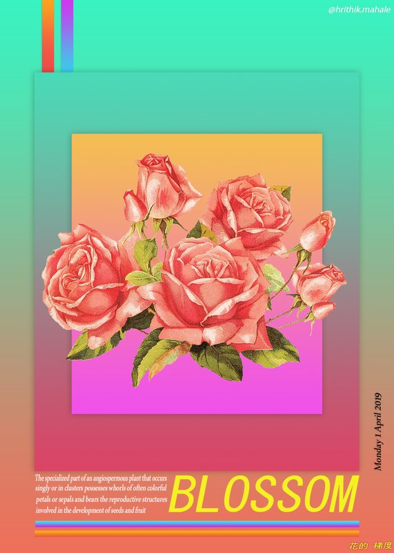 Bunch of Pink Roses — Vibrant, Illustration
