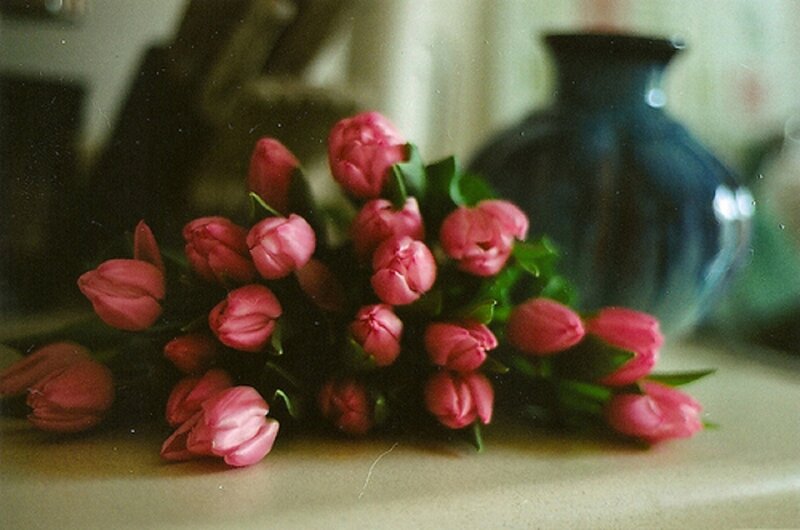 Bunch of Pink Tulips — Calm, Photograph, Vase