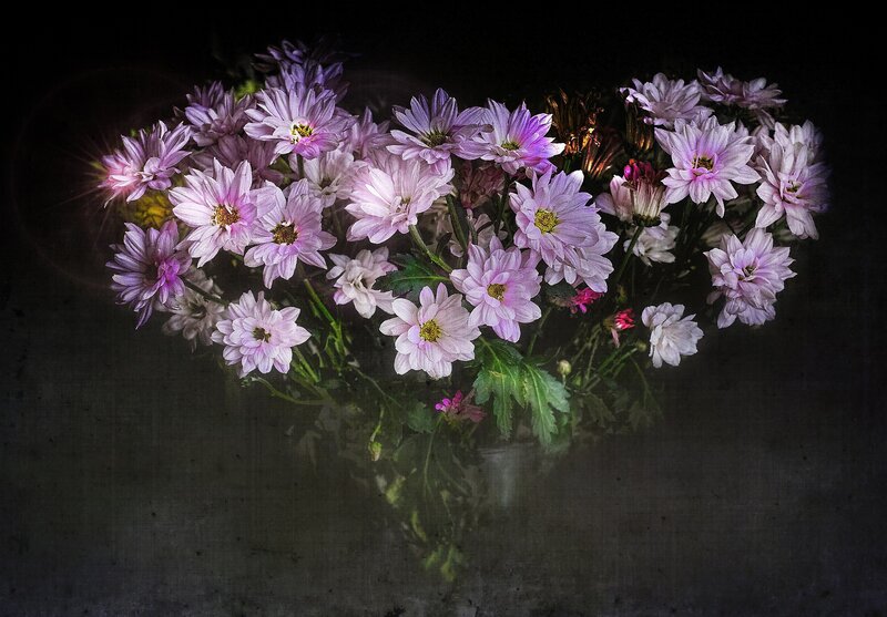 Bunch of Purple Chrysanthemums