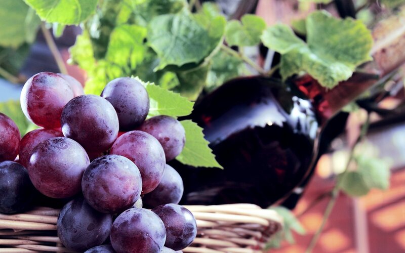 Bunch of Purple Grapes — Natural, Afternoon, Photograph