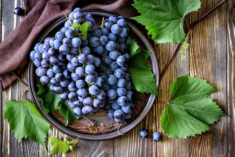 Bunch of Purple Grapes — Natural, Photograph
