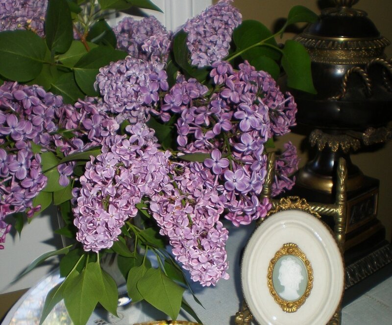 Bunch of Purple Lilacs
