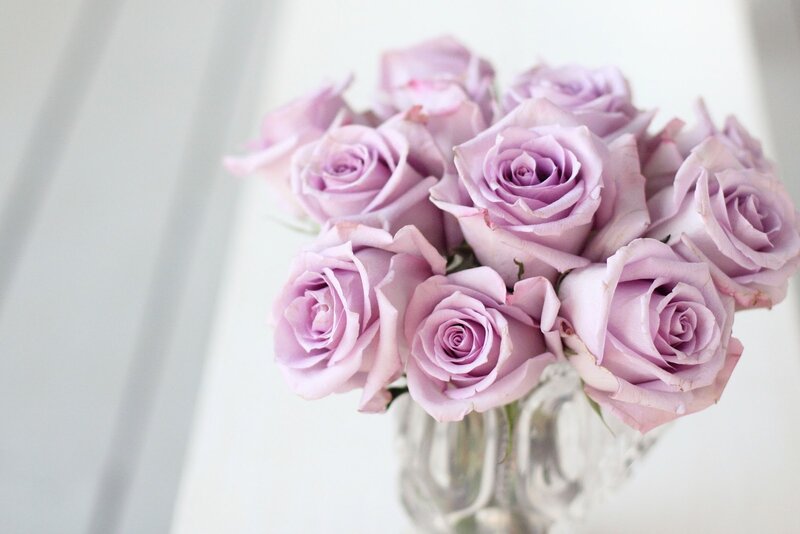Bunch of Purple Roses — Serene