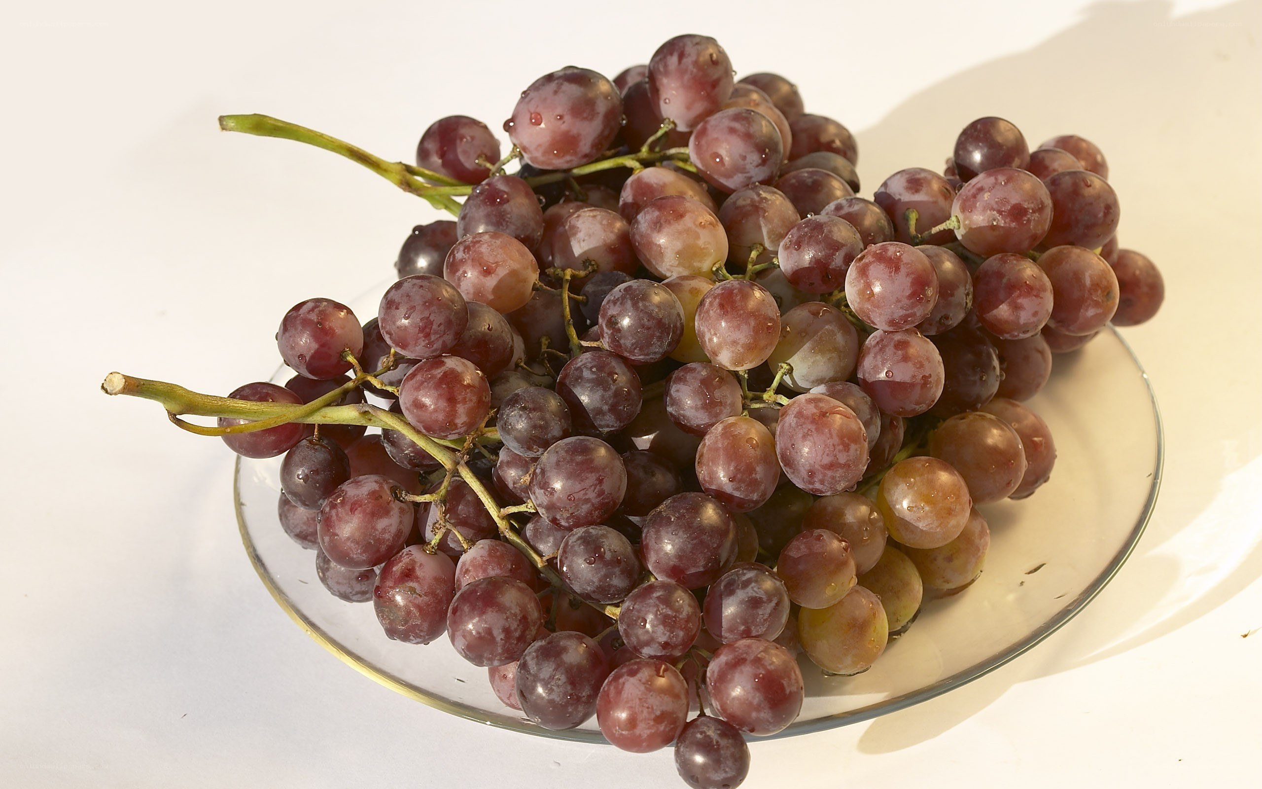 bunch of red grapes