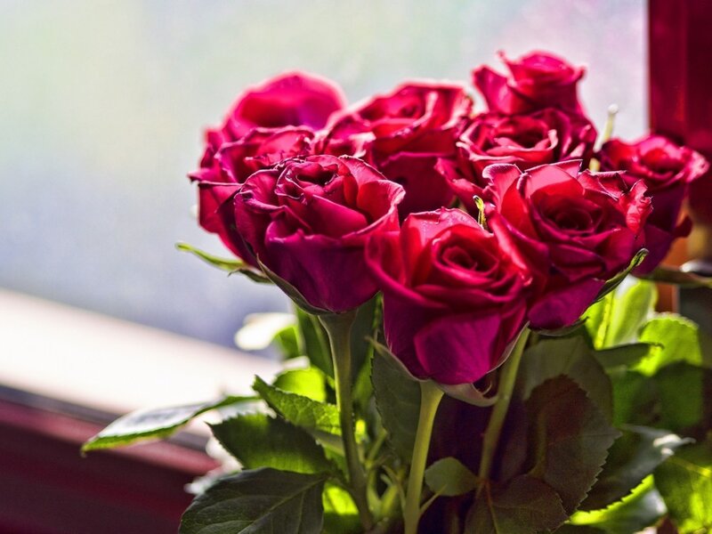 Bunch of Red Roses — Calm, Afternoon, Photograph