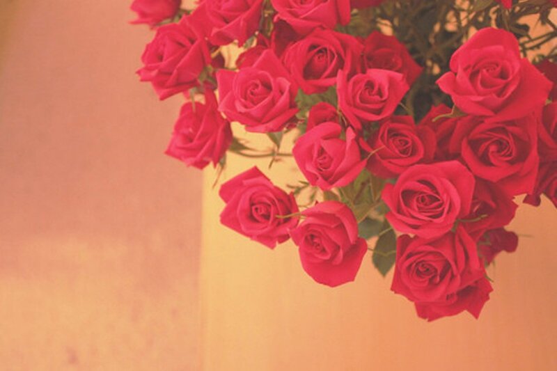 Bunch of Red Roses — Calm, Photograph, Flowers