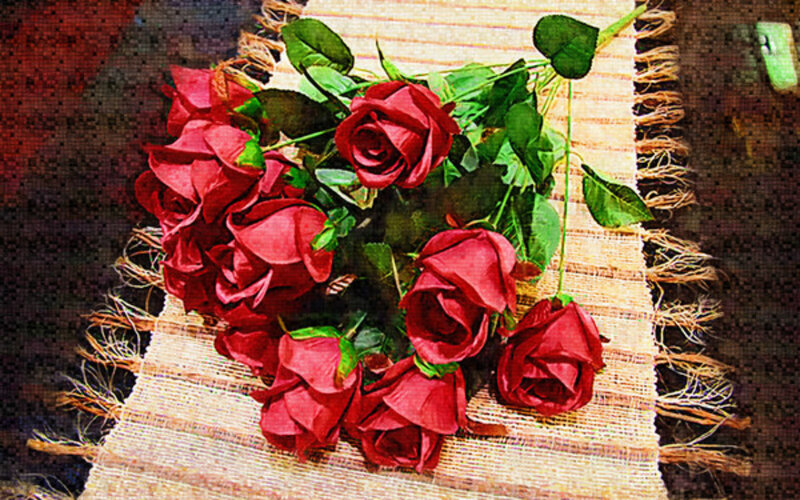 Bunch of Red Roses — Calm, Photograph, Leaves