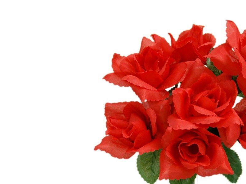 Bunch of Red Roses — Calm