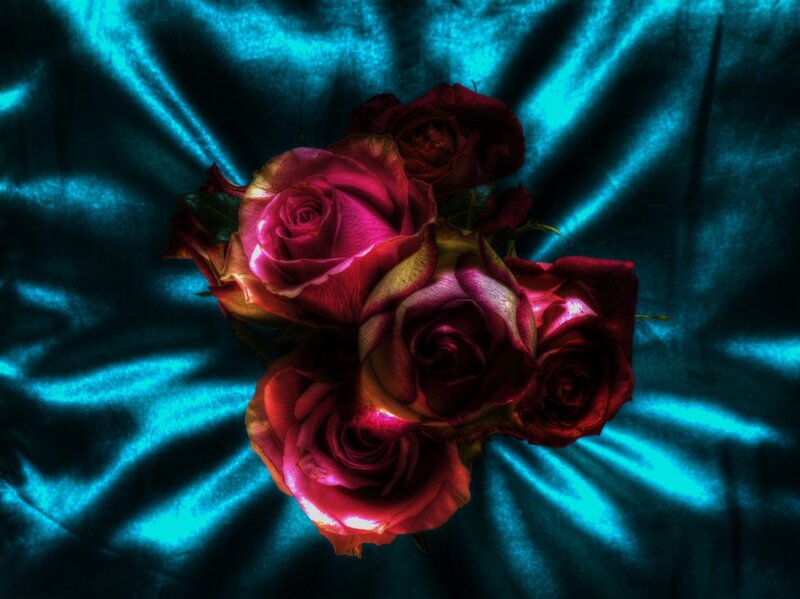 Bunch of Red Roses — Dramatic, Photograph, Fabric