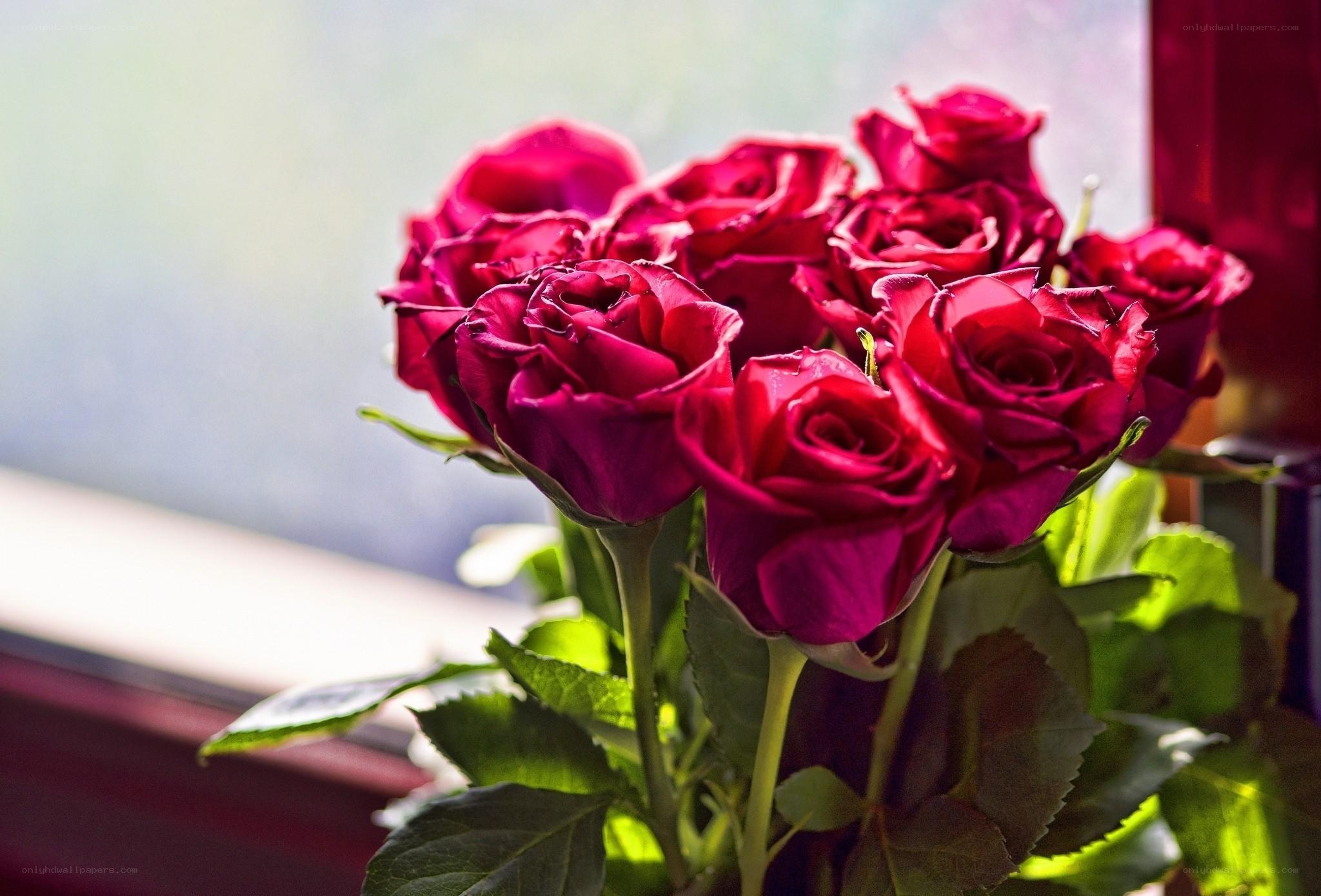 Bunch of red roses