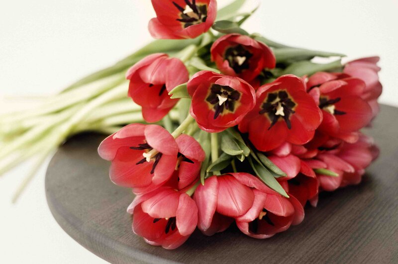 Bunch of Red Tulips — Calm, Photograph, Flowers, Table