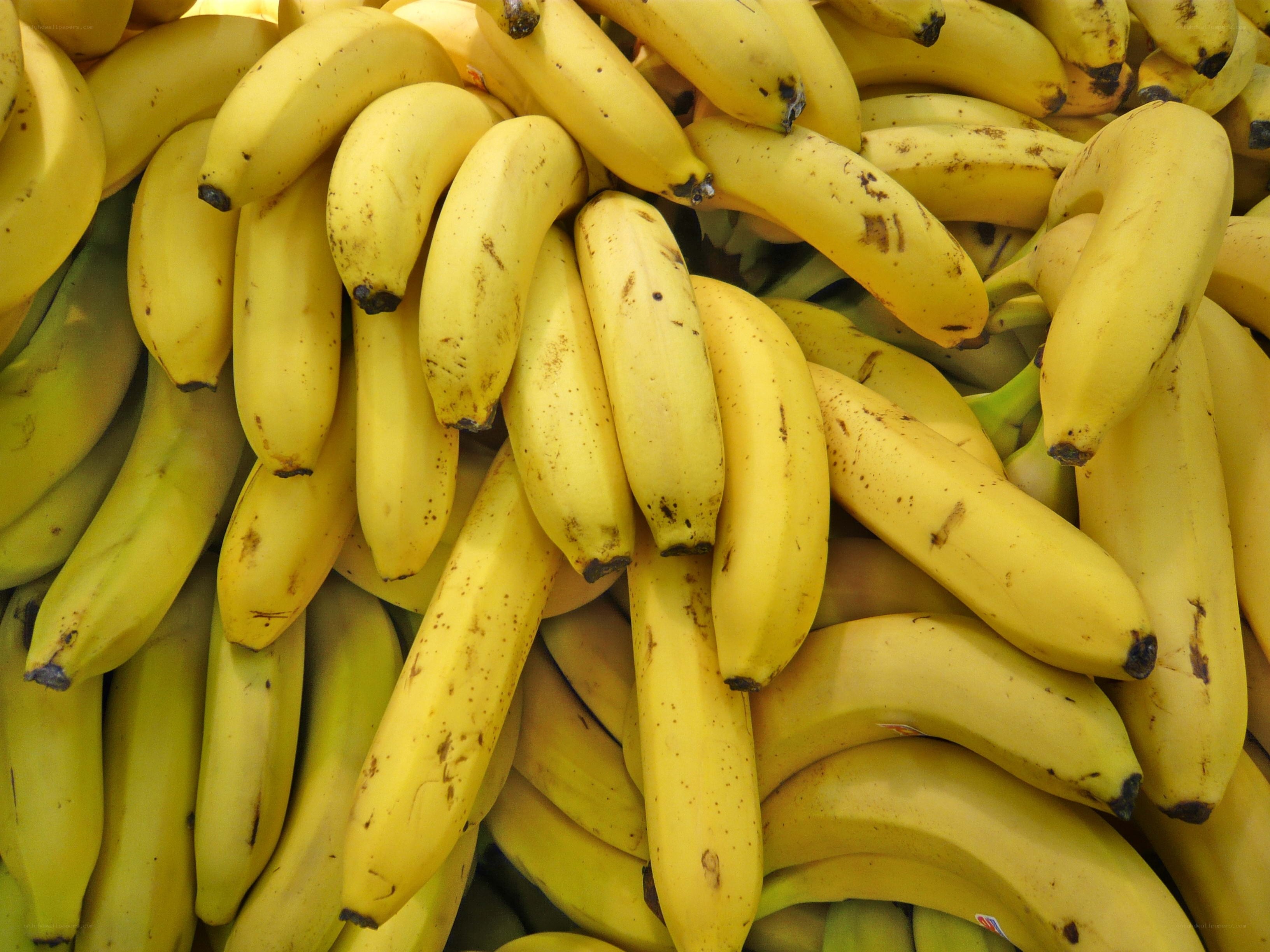 bunch of ripe bananas