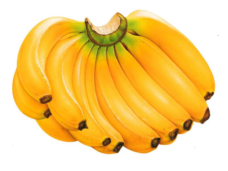 bunch of ripe bananas