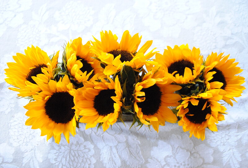 Bunch of Sunflowers — Yellow, Calm, Photograph