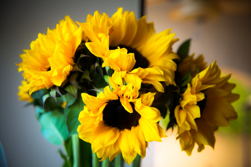 Bunch of Sunflowers — Yellow, Calm