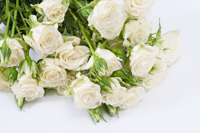 Bunch of White Roses — Calm