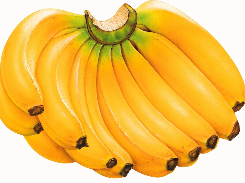 Bunch of Yellow Bananas — Neutral, Illustration, Banana