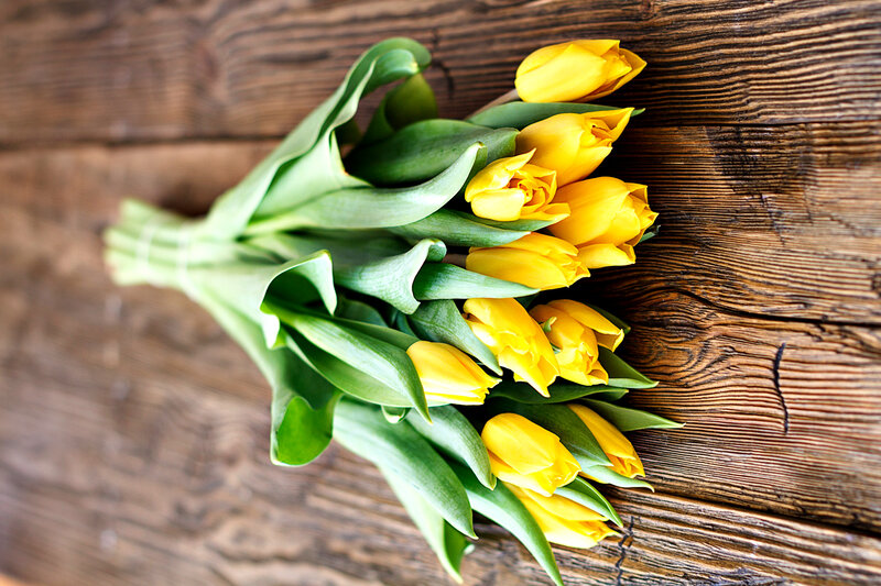 Bunch of Yellow Tulips — Calm