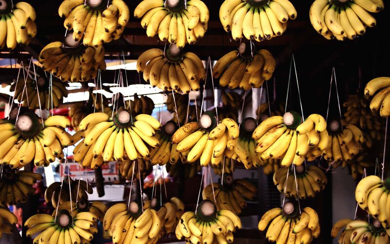 Bunches of bananas hanging for sale